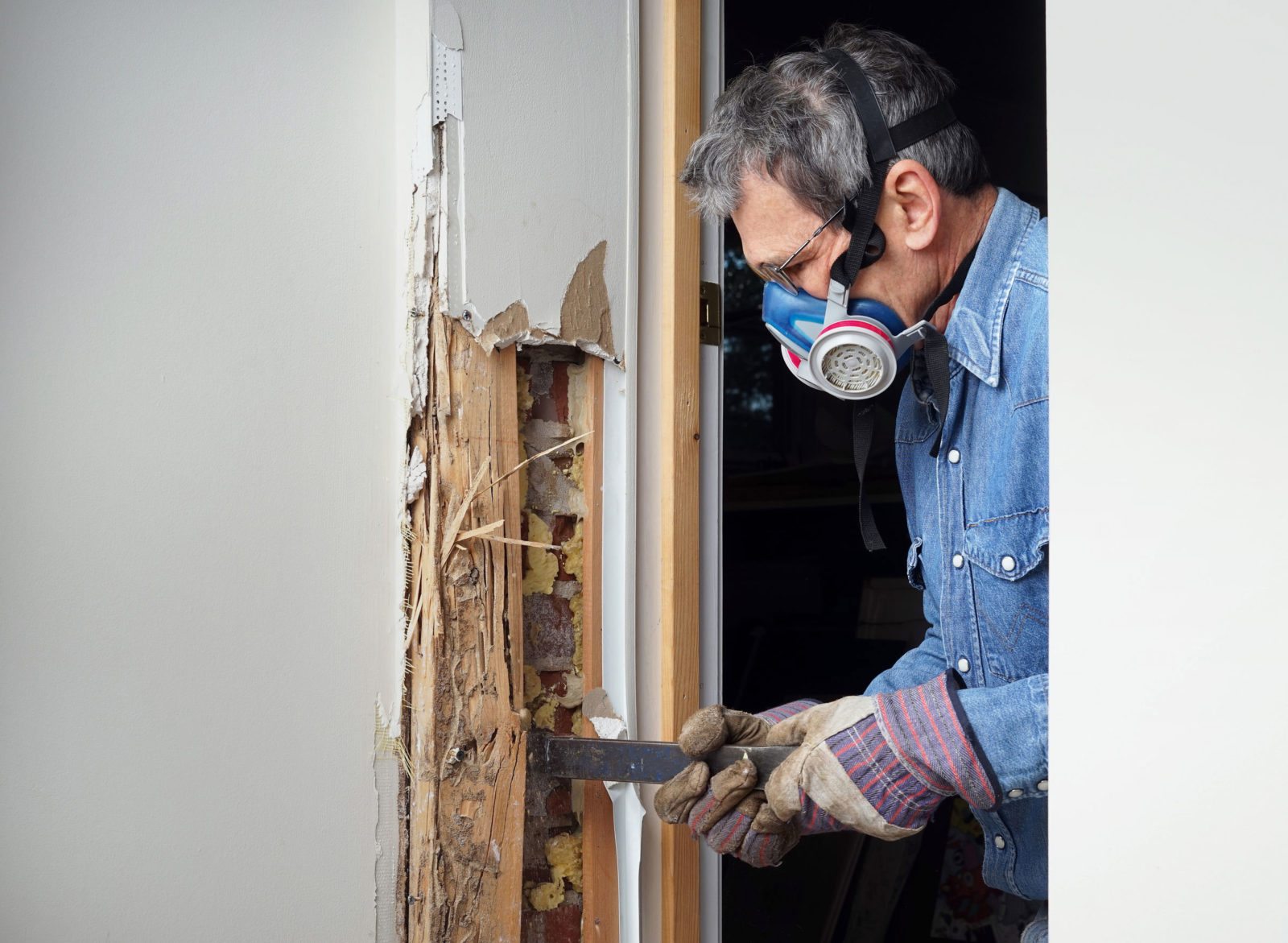 Carolina Pest Termite Control Technician Home Examination Find Termites in Wall