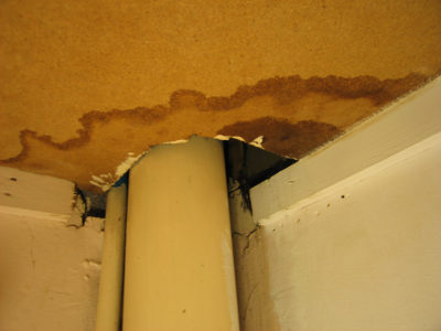 Termite Prevention Tips | Fix Existing Water Damage