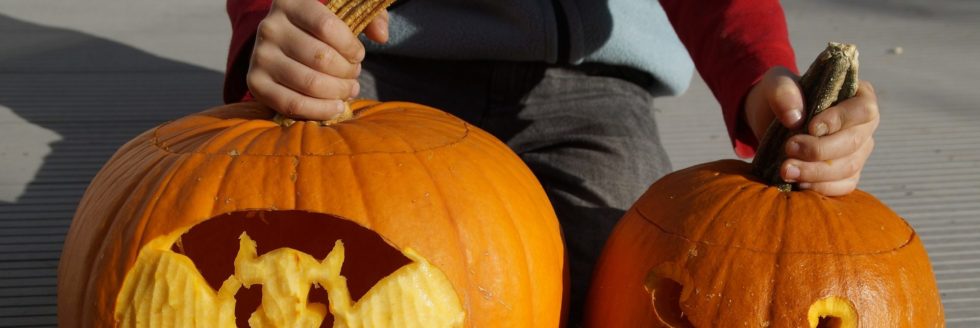 carved pumpkins free from pests