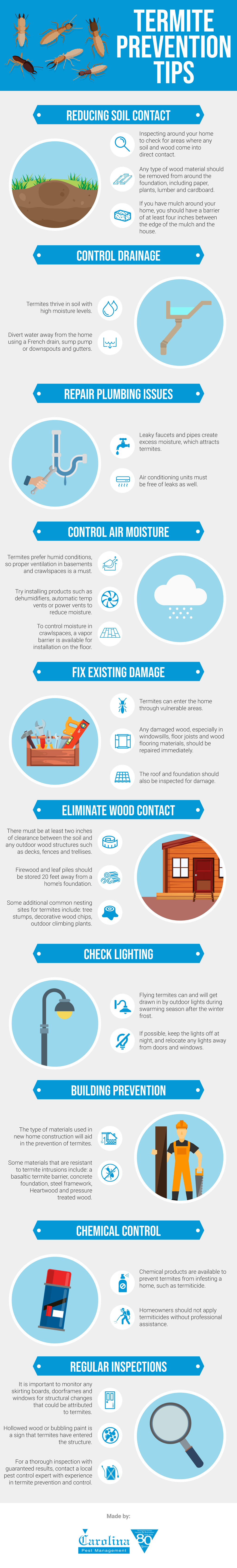 Termite Prevention Tips and Recommendations Infographic | Carolina Pest Control Management