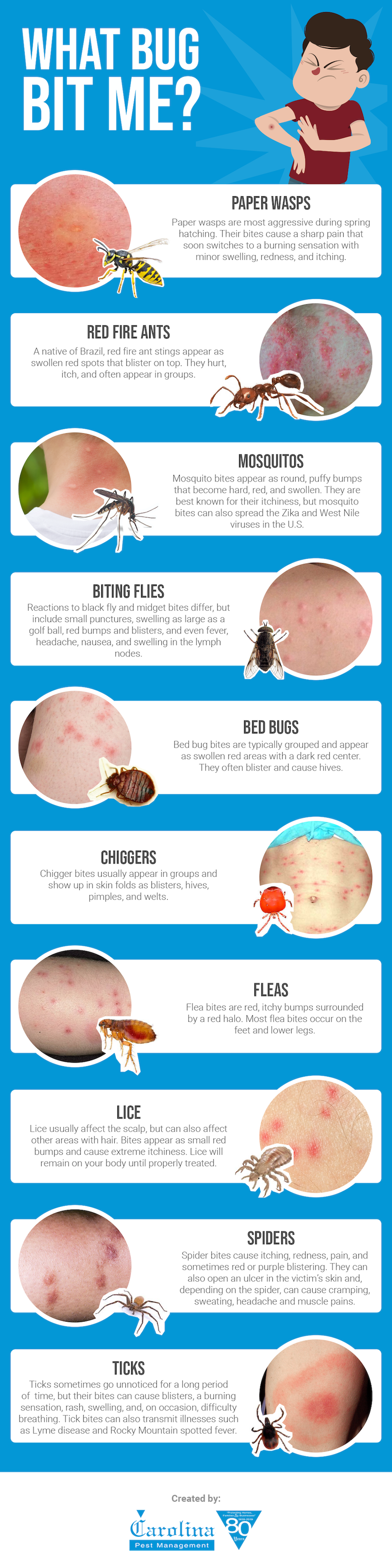 Infographic highlighting variety of bug bites