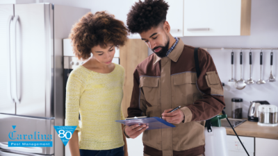 Carolina Pest | How to Protect Your Electrical Wiring from Rodents This