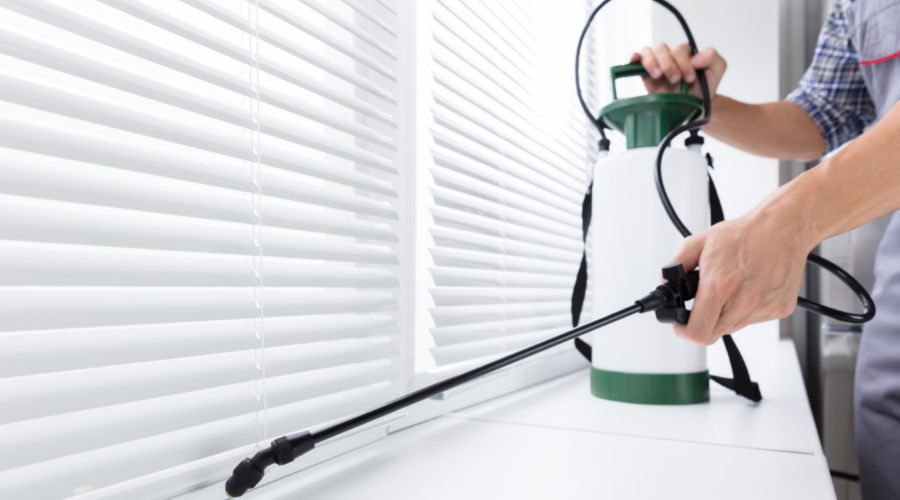 Best Pest Control In Lehi Utah