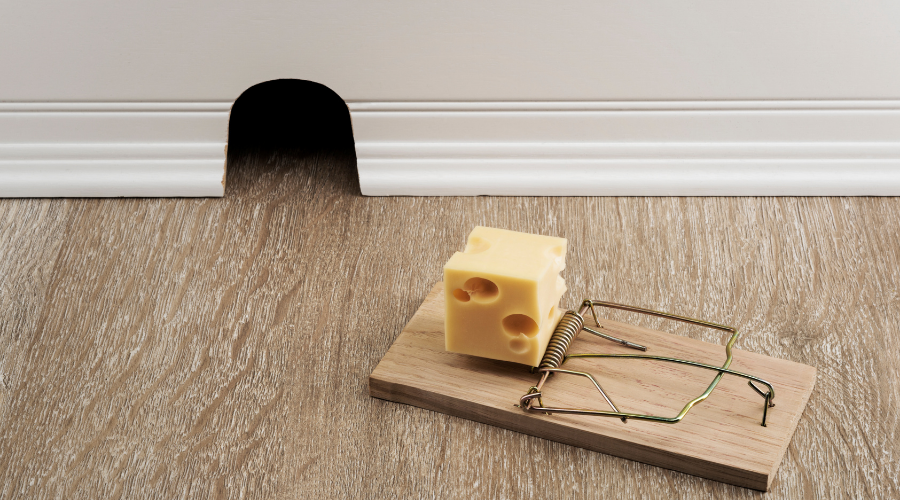 Traditional mouse trap with cheese outside of mouse hole