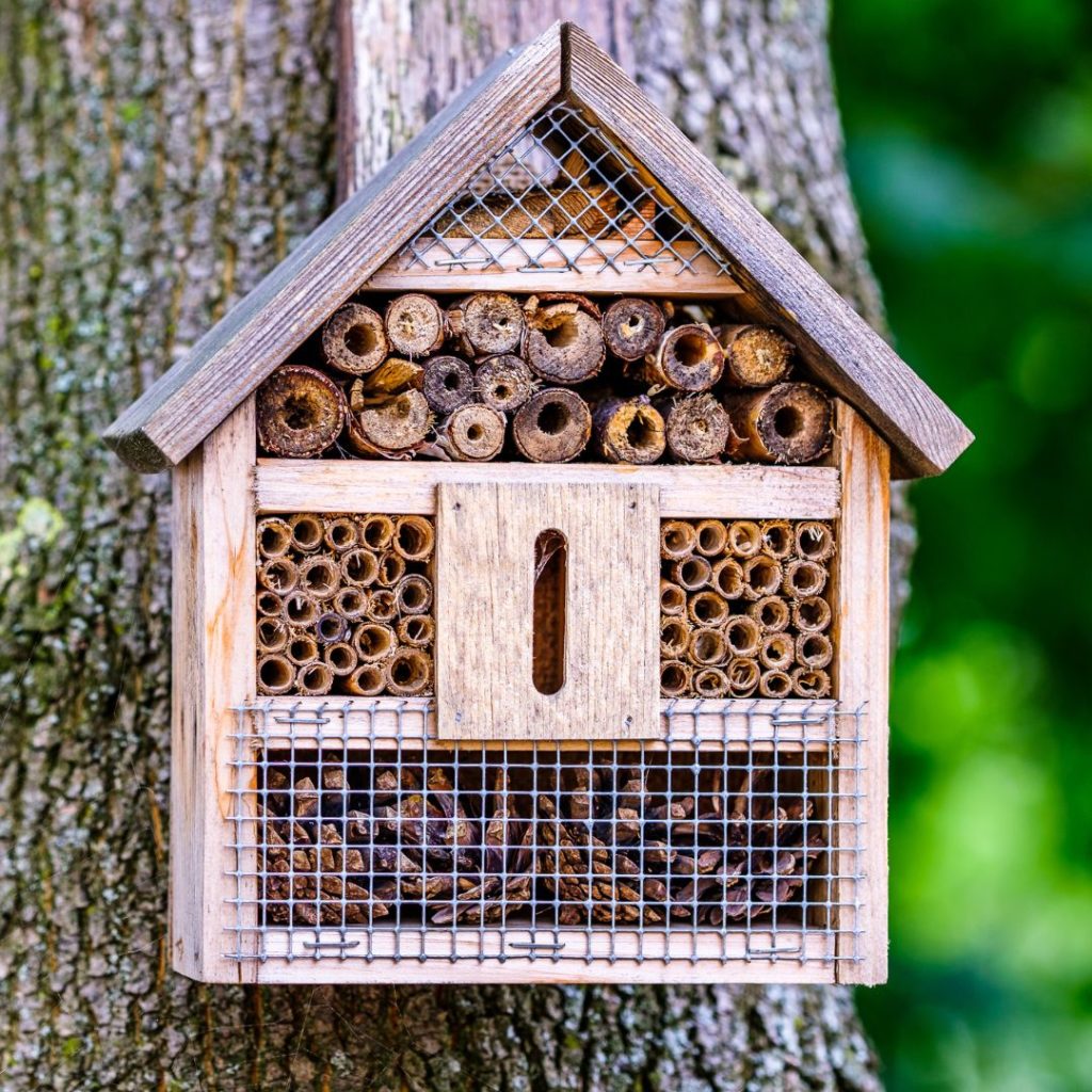 Ladybug House on tree