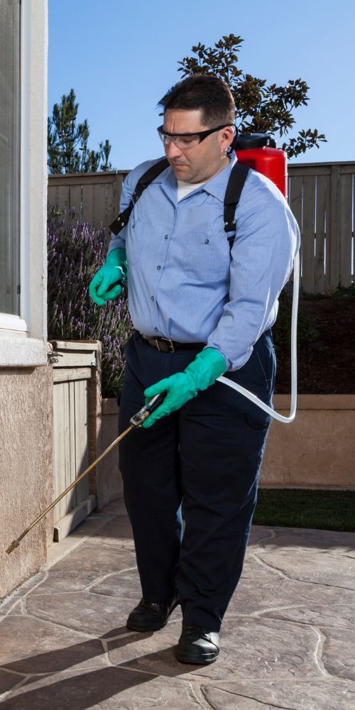 Pest control technician spraying for spiders