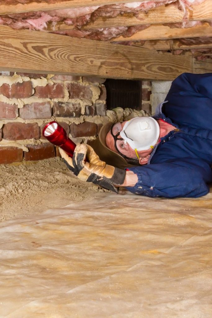 Charlotte Pest Control expert looking for termites in crawlspace