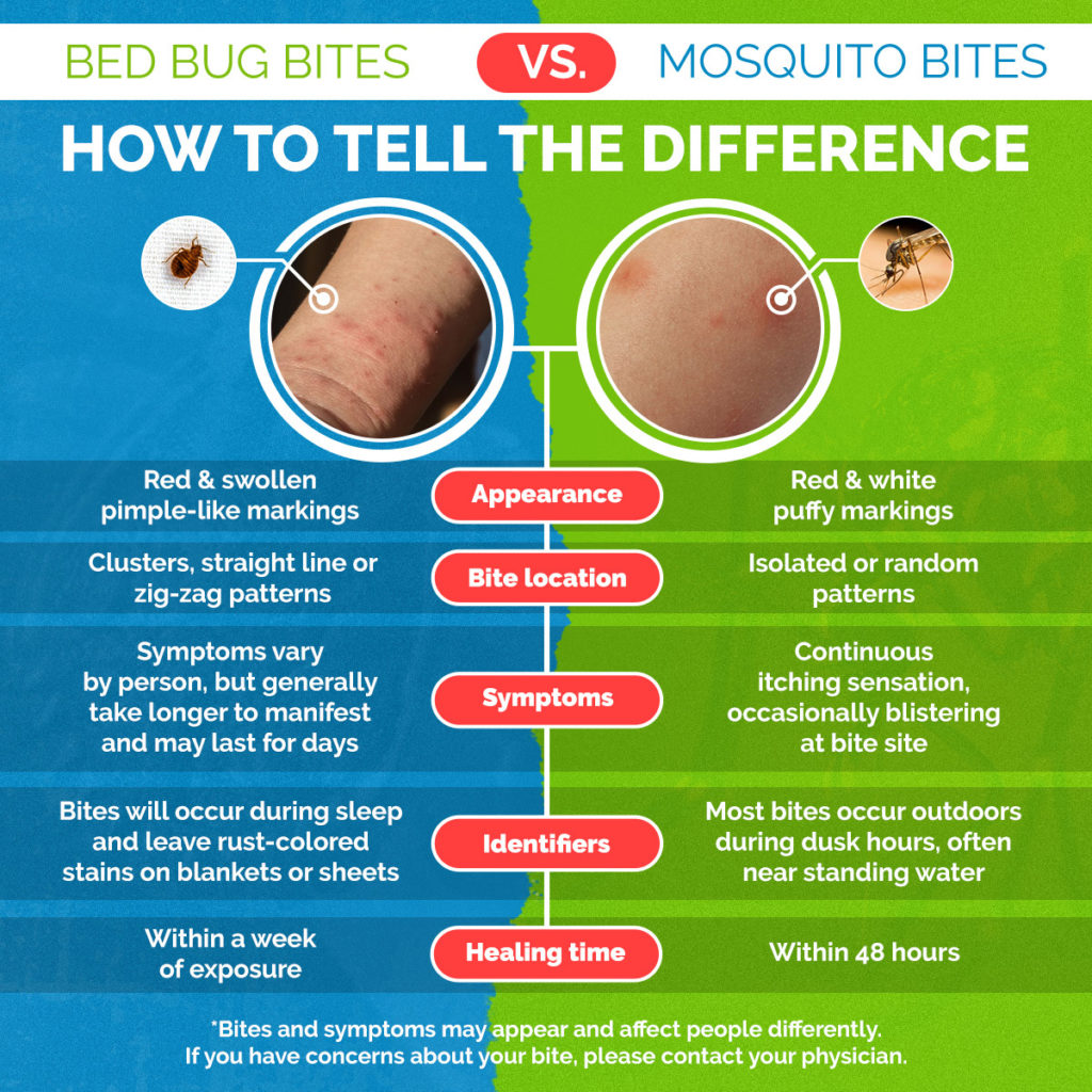 Carolina Pest | Bed Bug Bites vs. Mosquito Bites: How to Tell the  Difference | Carolina Pest