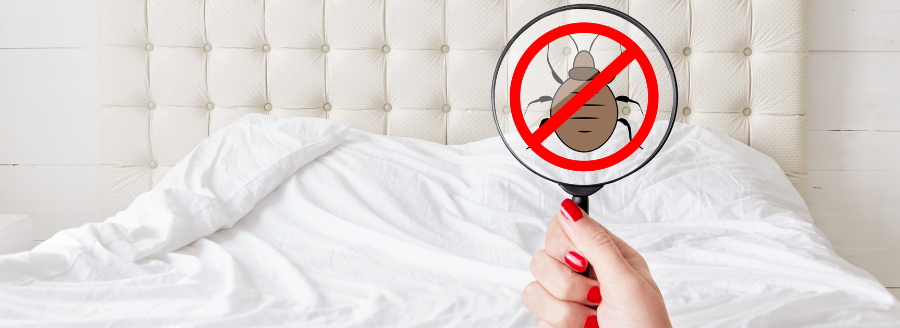 Avoid Bed Bugs