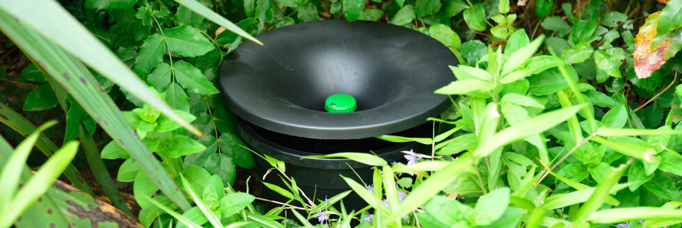 mosquito reduction