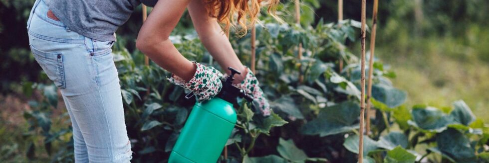 eco-friendly pest management