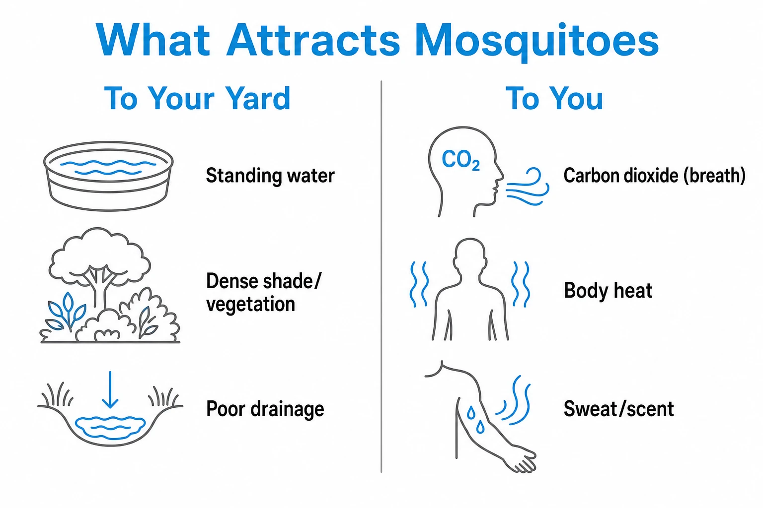Infographic showing what attracts mosquitoes to a yard (water, shade) and to people (carbon dioxide, body heat, scent).